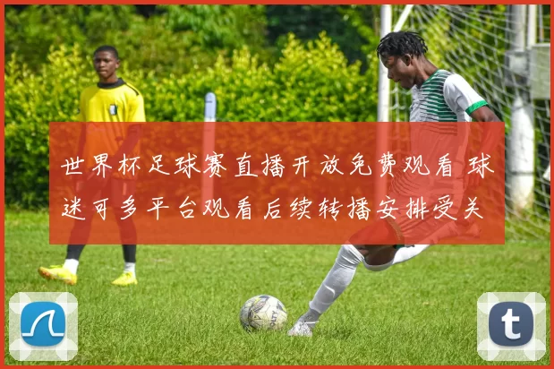 世界杯足球赛直播开放免费观看 球迷可多平台观看后续转播安排受关注