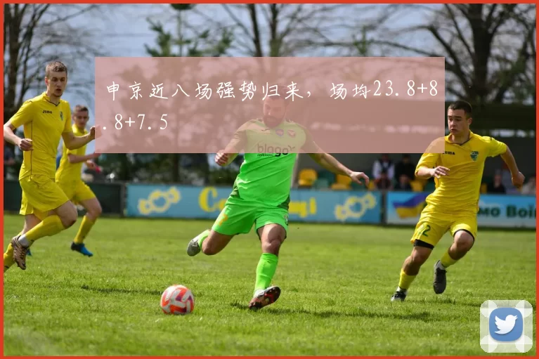 申京近八场强势归来,场均23.8+8.8+7.5