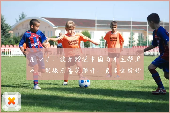 用心了！波尔赠送中国马年主题卫衣，樊振东喜笑颜开，直言会好好珍藏